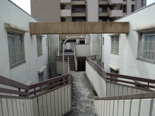 t-R0020186.jpg