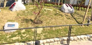 IMG_2694_resized.jpg