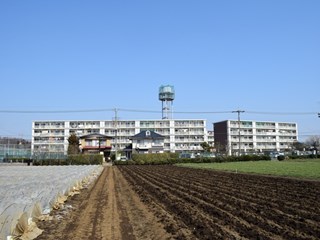 qsuito-1.jpg