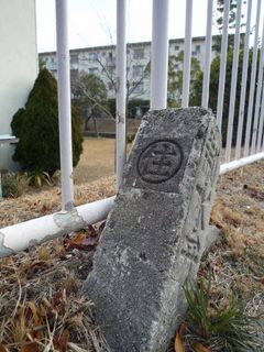 s-P1060122.jpg