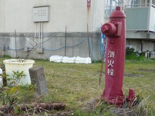 s-P1070690_edited.jpg