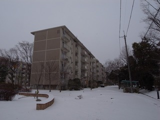 s-R0017202.jpg