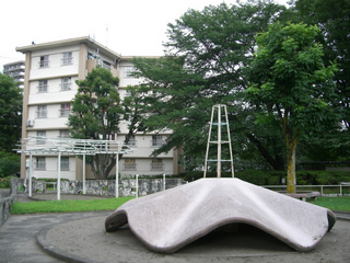 t-CIMG1445.jpg