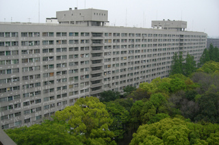 t-CIMG7526.jpg