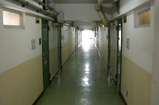 t-CIMG9135.jpg