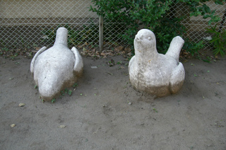 t-CIMG9319.jpg