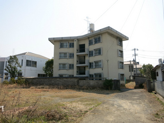 t-IMG_0043.jpg