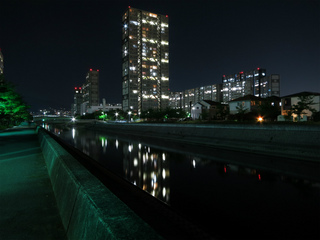 t-IMG_0049.jpg