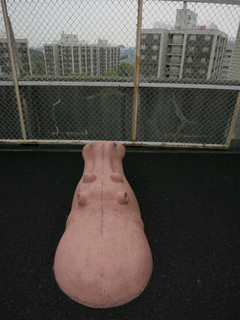 t-IMG_0083.jpg