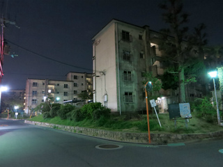 t-IMG_0098.jpg