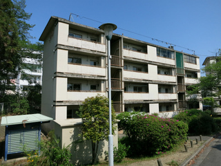 t-IMG_0170.jpg