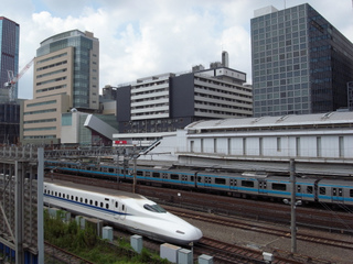 t-R0015313.jpg