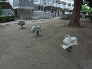 t-R0018648.jpg