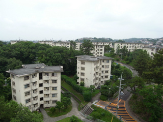 t-R0019057.jpg