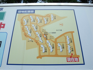 t-R0019671.jpg