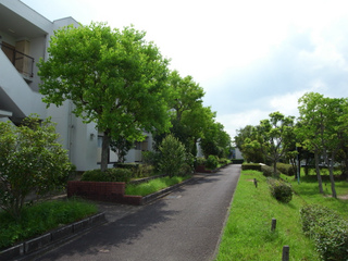 t-R0019678.jpg