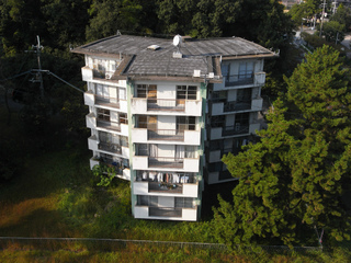 t-R0019885.jpg