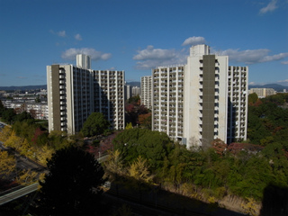 t-R0020362.jpg