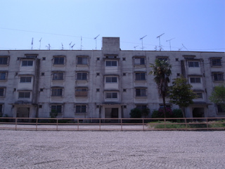 t-R0031000.jpg