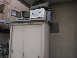 t-R0033133.jpg