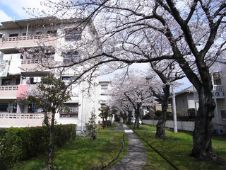 t-R0033732.jpg