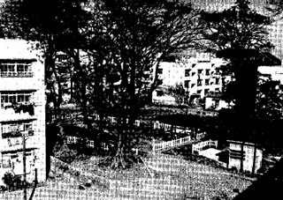 takanawa.jpg