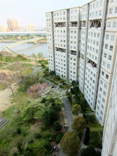 tamazo1_resized.jpg