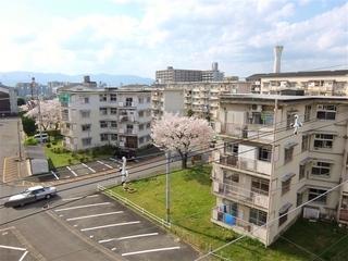 tamazo2_toryo_resized.jpg
